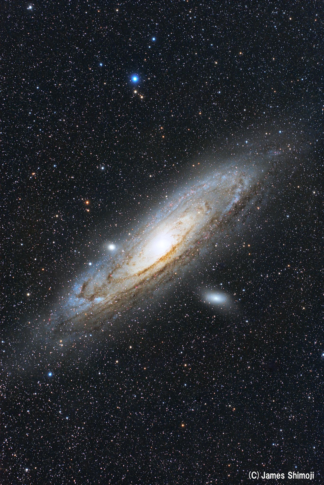 M31 アンドロメダ銀河 天リフギャラリー