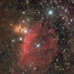 【自己新】の馬頭星雲