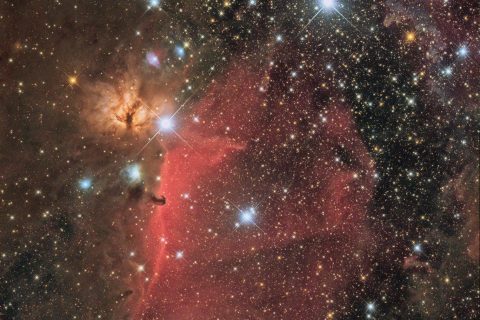 【自己新】の馬頭星雲