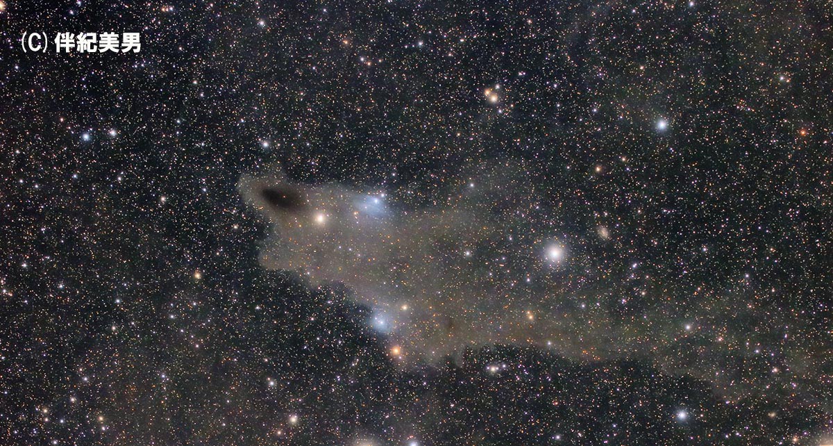 ケフェウス座シャーク星雲(LDN1235)付近 | 天リフギャラリー