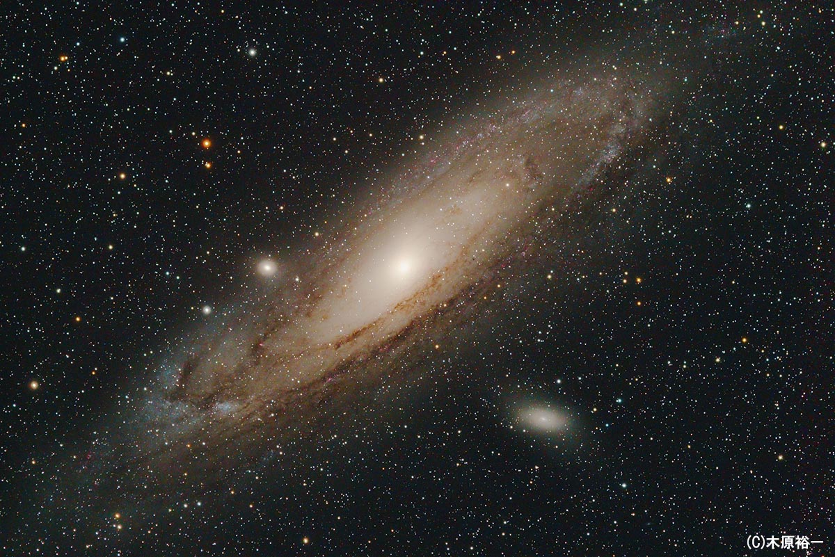 M31・アンドロメダ座大星雲 | 天リフギャラリー
