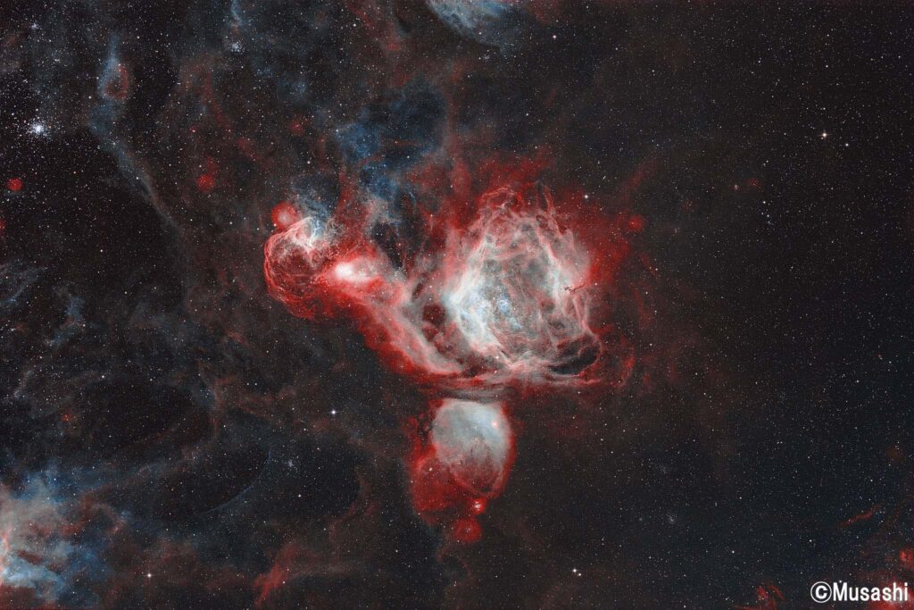 NGC1955