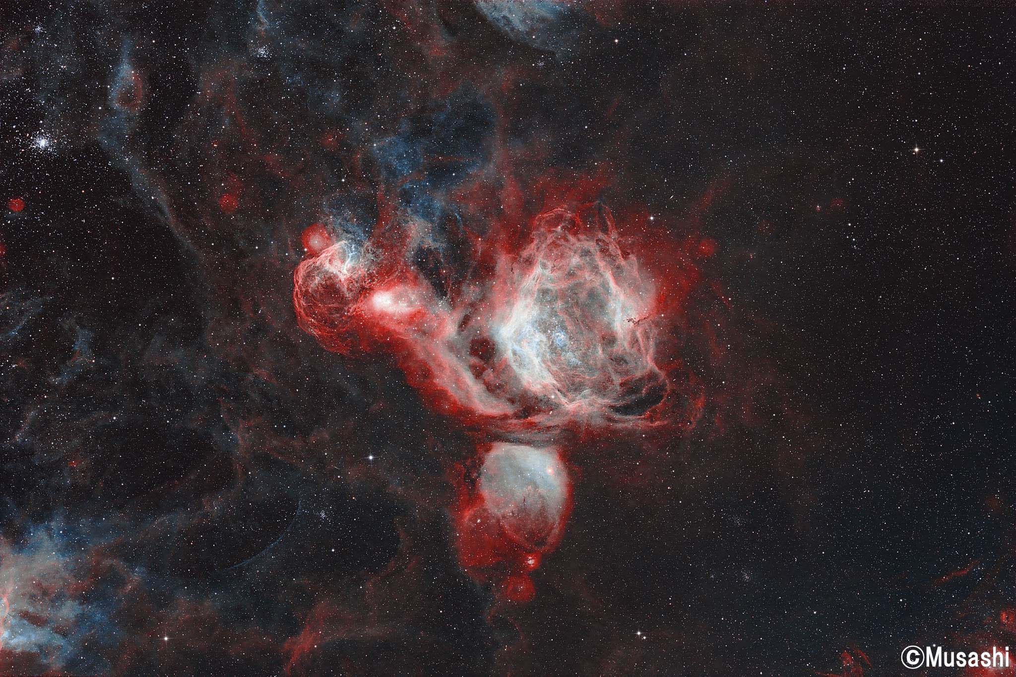 NGC1955