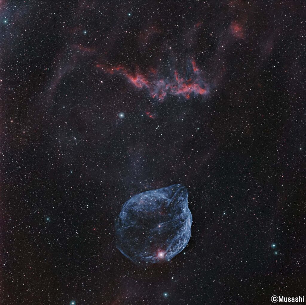 Sh2-308ドルフィンヘッド星雲