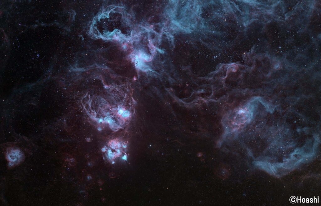 NGC2080タランチュラ星雲(南)