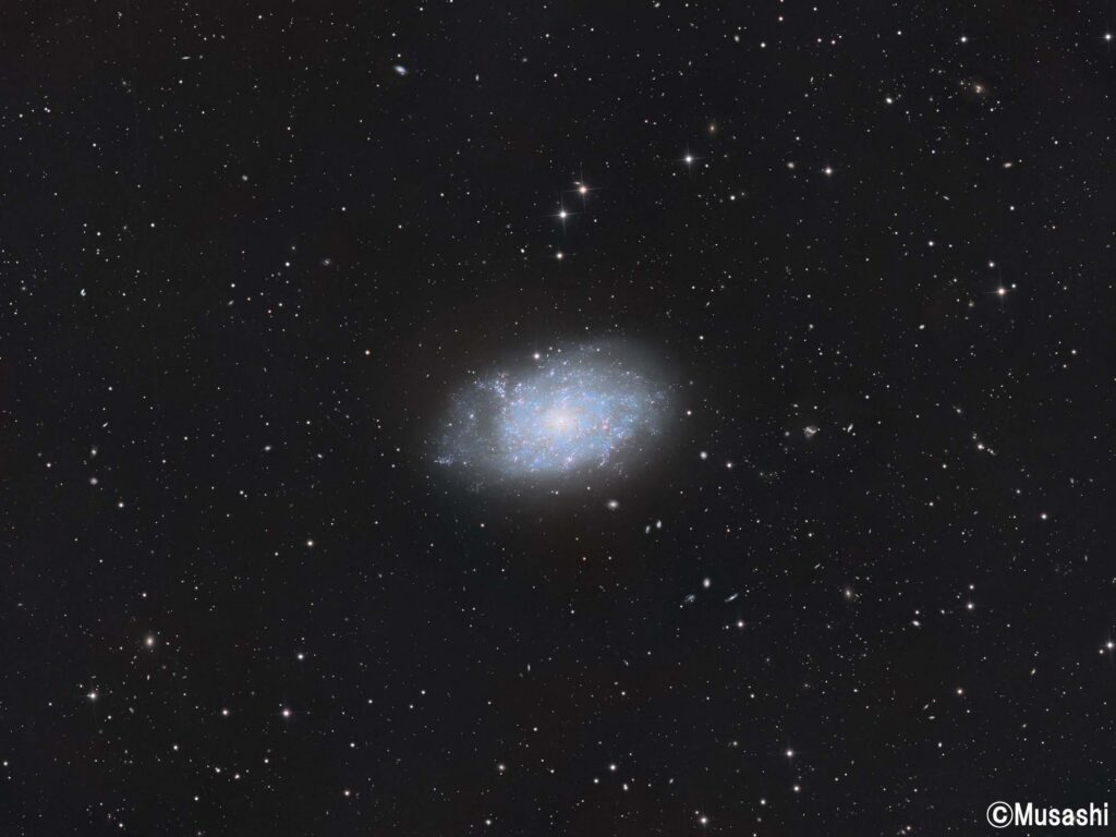 NGC7793銀河