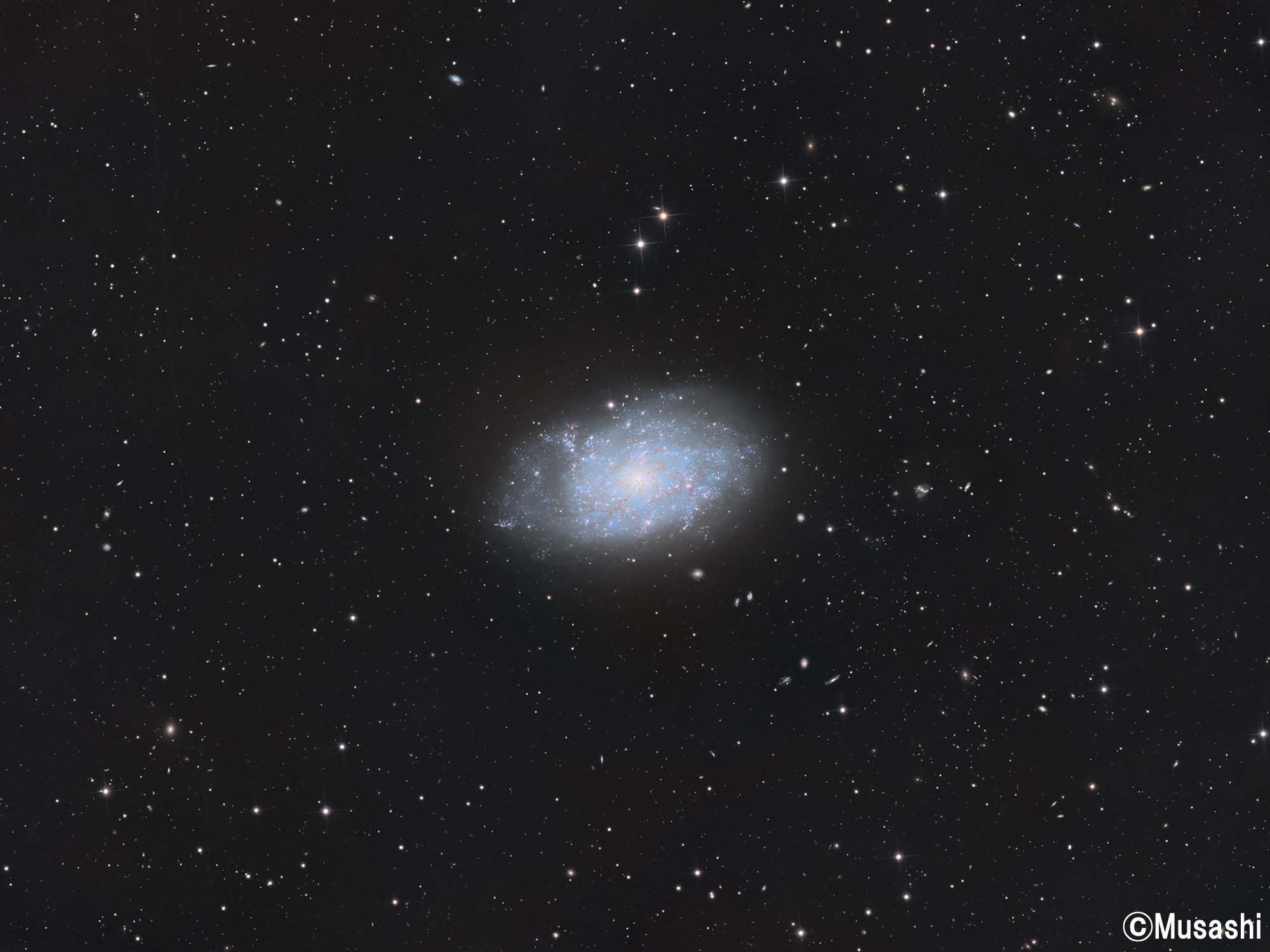 NGC7793銀河