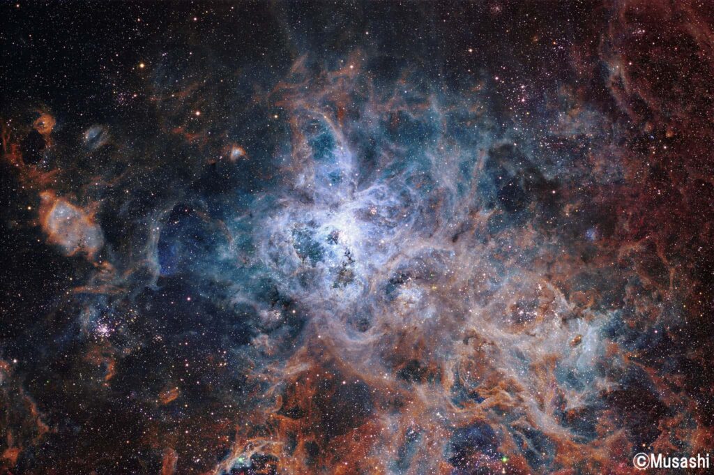 NGC2070タランチュラ星雲(北)